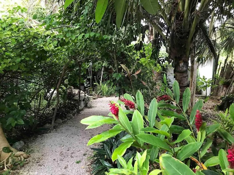Casa Maya Xul-Ha Apartment